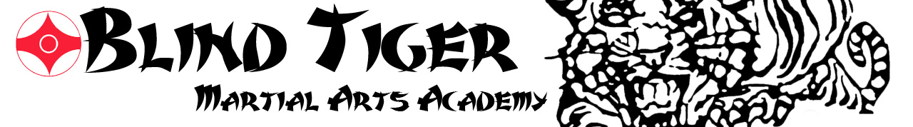 Blind Tiger Martial Arts Academy